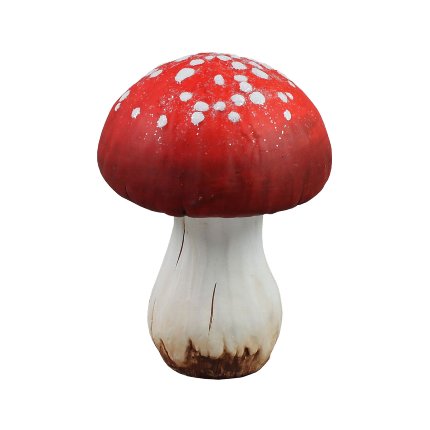 Toadstool, red