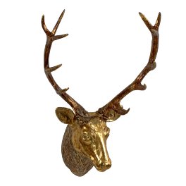 Deer head f. hanging