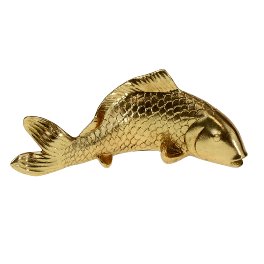 Fish, gold
