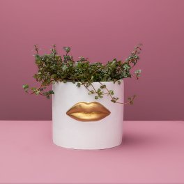 Planter Lips, white/gold