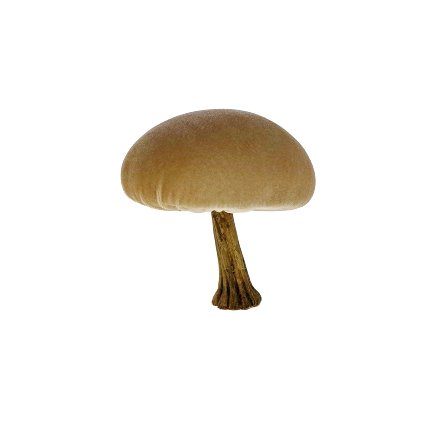 Decorative mushroom, cream
