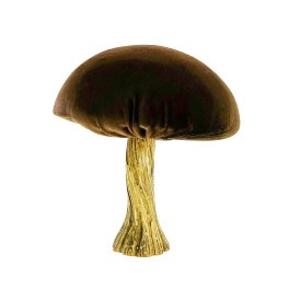 Mushroom, dark brown