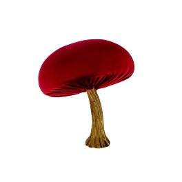 mushroom, burgundy