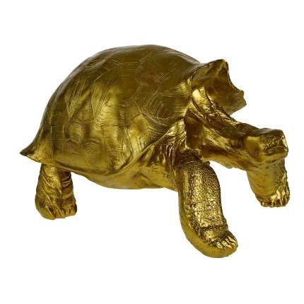 Schildkröte Stormy, gold