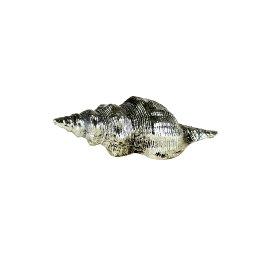 Shell, silver