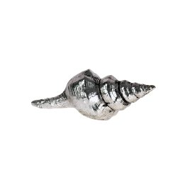 Shell, silver