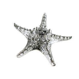 Starfish, silver