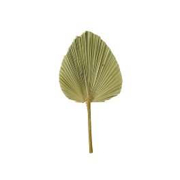 Palm leaf Spear, natural color