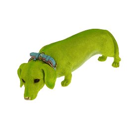 Dog Lasso w. collar, green