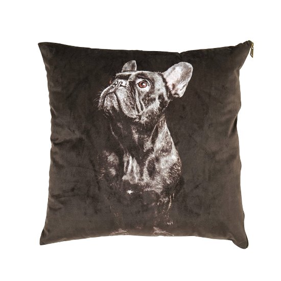 Coussin Frenchie, noir