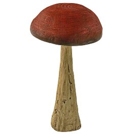 Mushroom, brown, magnesia