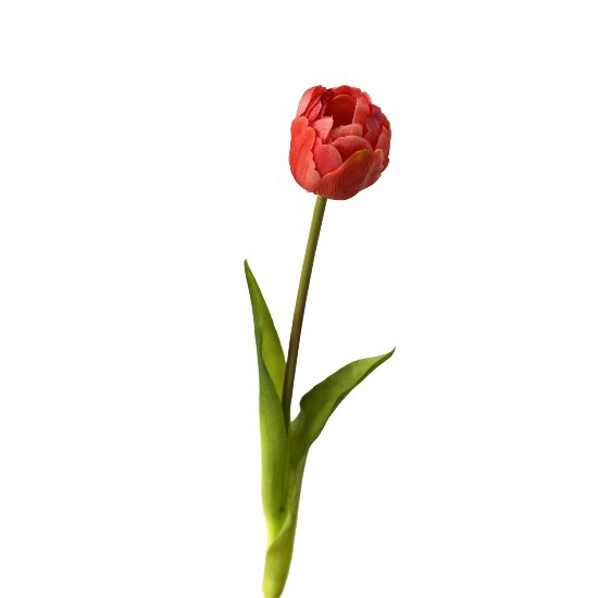 Tulpe, real touch, rot