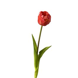 Tulpe, real touch, rot