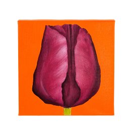 Painting Tulip, orange/purple