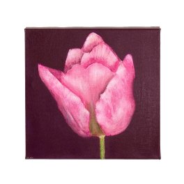 Tableau Tulipe, violet/rose